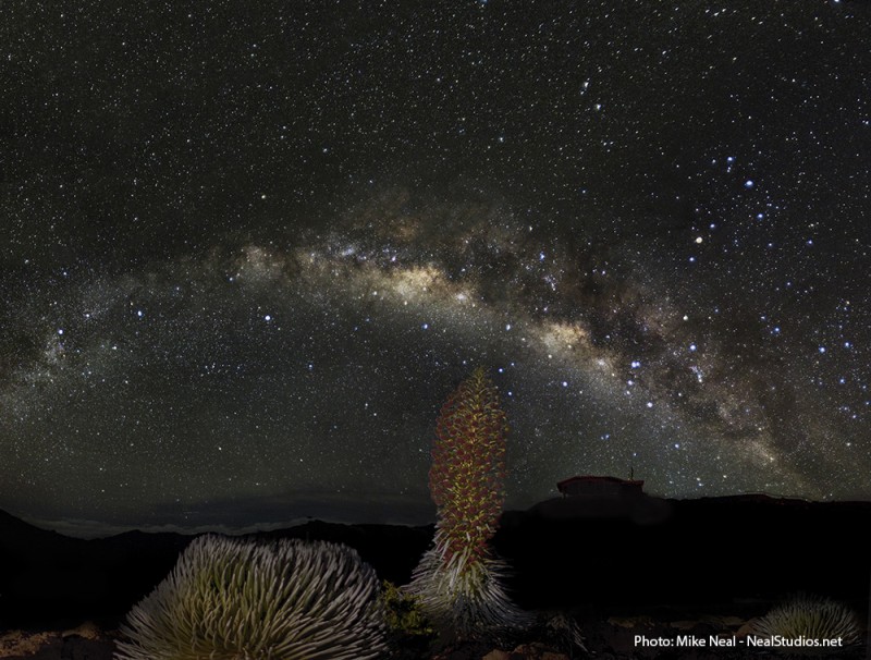 Haleakala Silverswords and the Milky Way - now showing at the top of da rock...
